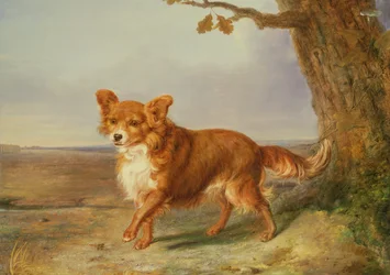 Porträt eines Hundes in einer italienischen Landschaft